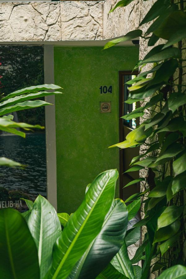 Hotel Canada Internacional Palenque Eksteriør billede
