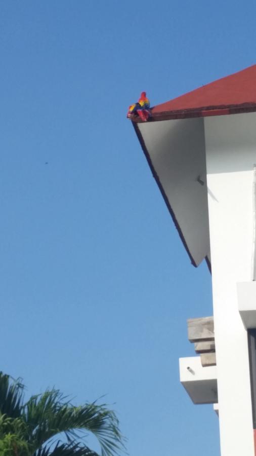 Hotel Canada Internacional Palenque Eksteriør billede